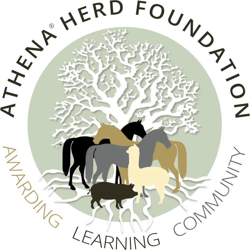 The Lightning Tree – A Symbol of Resilience