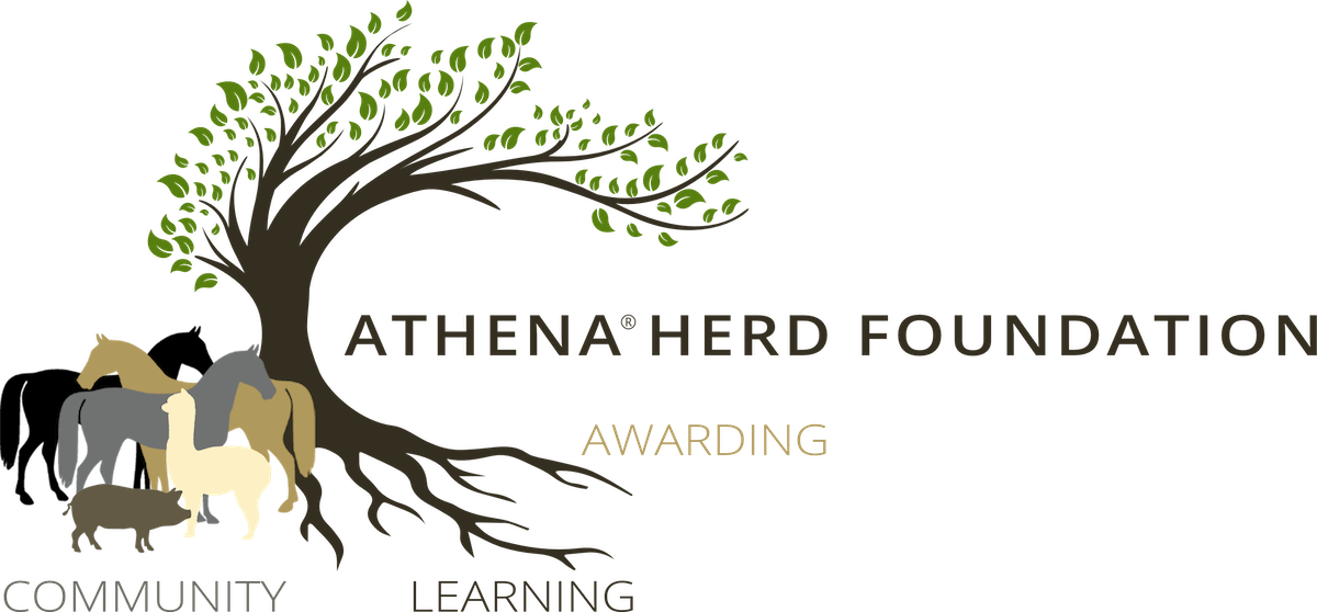 Putting Down Roots – A Living System