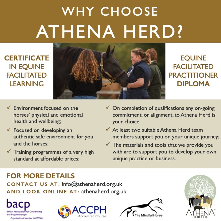 Why Athena Herd