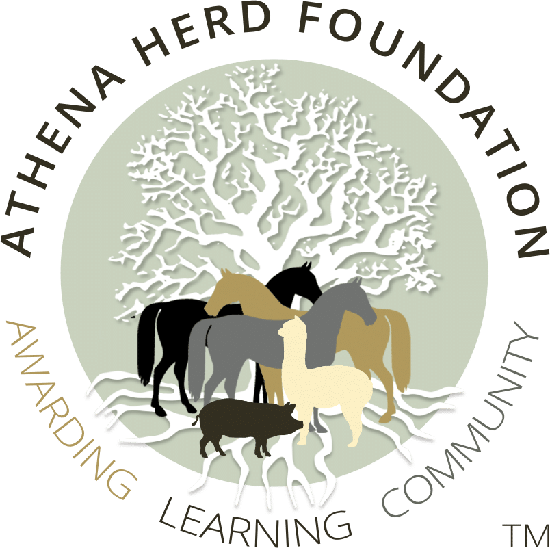 Athena Herd Foundation CIC