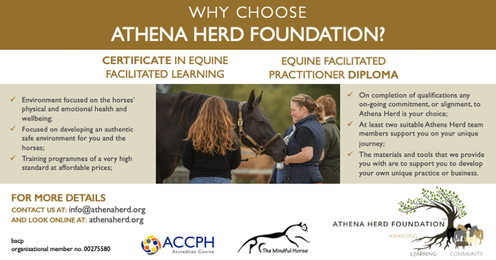 Athena Herd Certificate