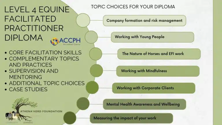 Level 4 Diploma Options