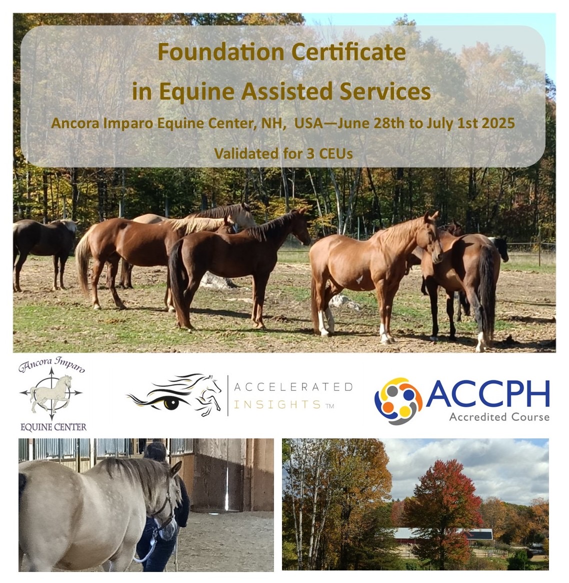 Equine Assisted Services in the US