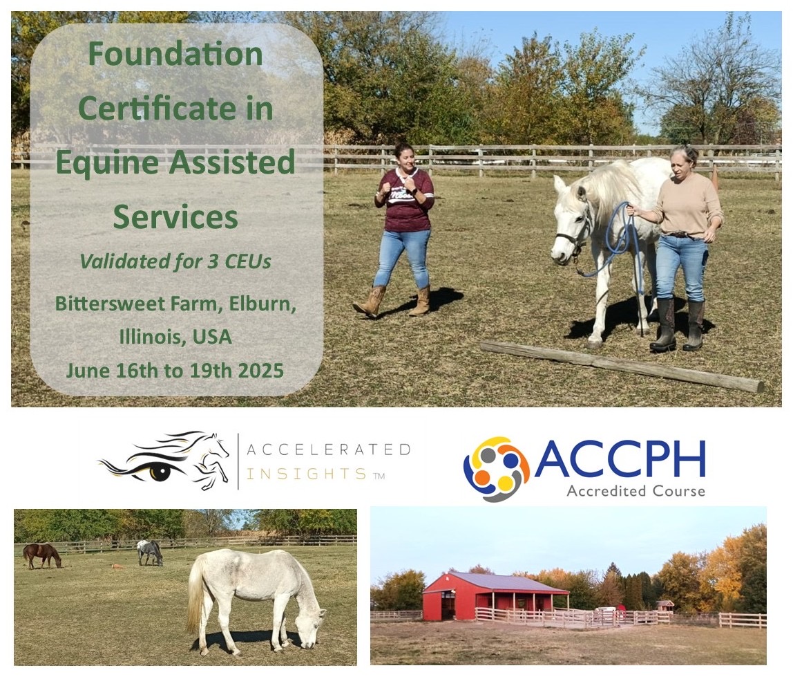 Equine assisted services in the US