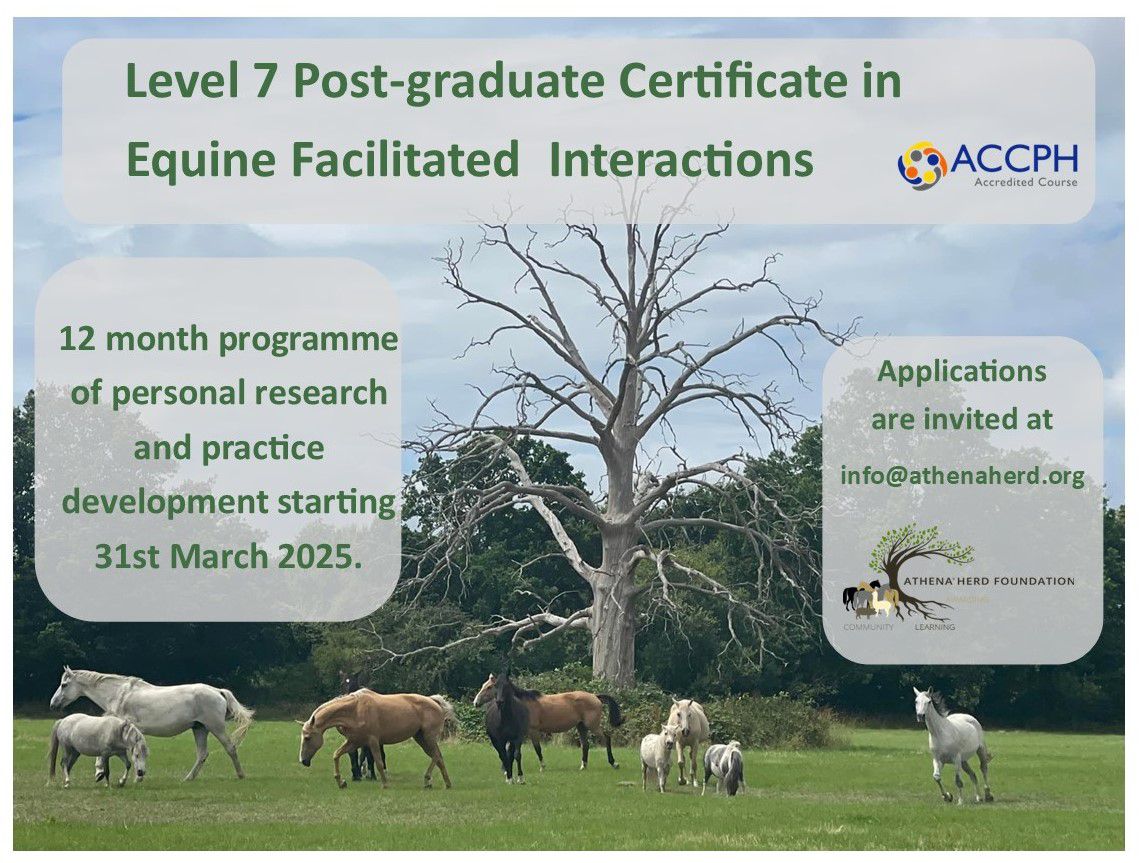 Level 7 Equine Facilitated interactions