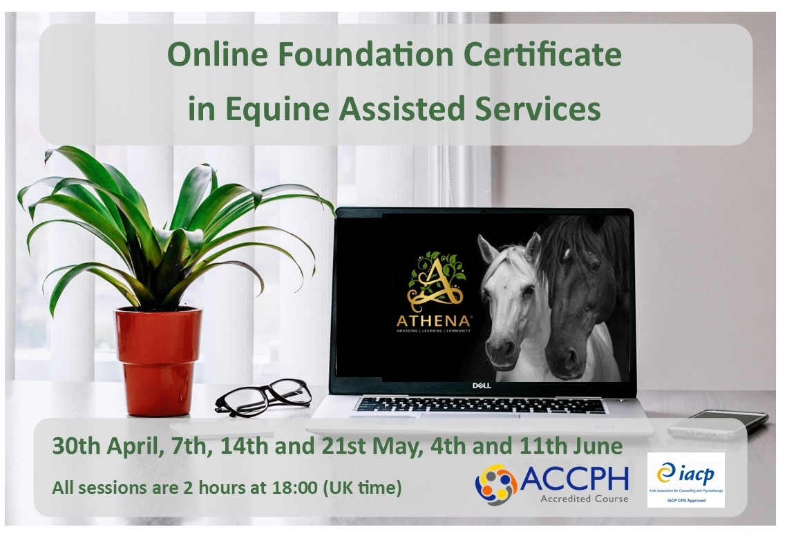 Equine assisted services online training