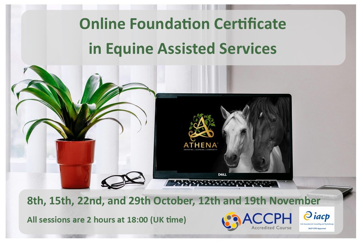 Equine assisted services online training