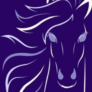Profile photo of Gilli Coston