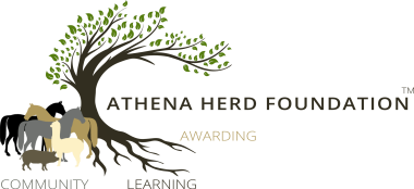 Athena Herd. EFL training courses