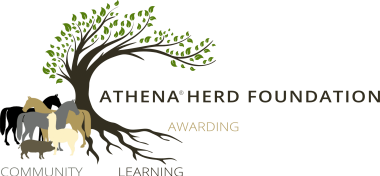 Athena Logo - Long Version Flipped - Standard